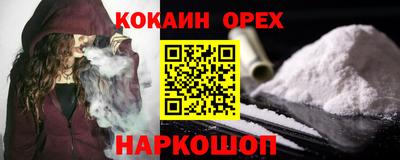 крисы Будённовск