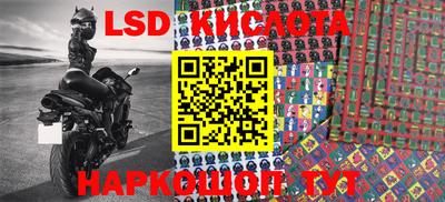 стаф Бугуруслан