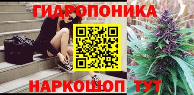крисы Будённовск