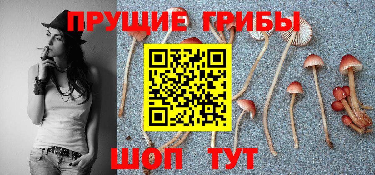 Псилоцибиновые грибы Magic Shrooms  Вход с VPN  Лянтор 